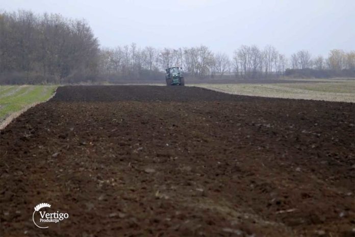 Agrosaveti---uzgoj-soje---Temerin---03