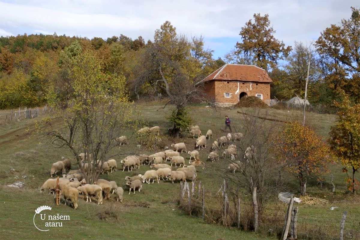 Agrosaveti---farma-ovaca---02