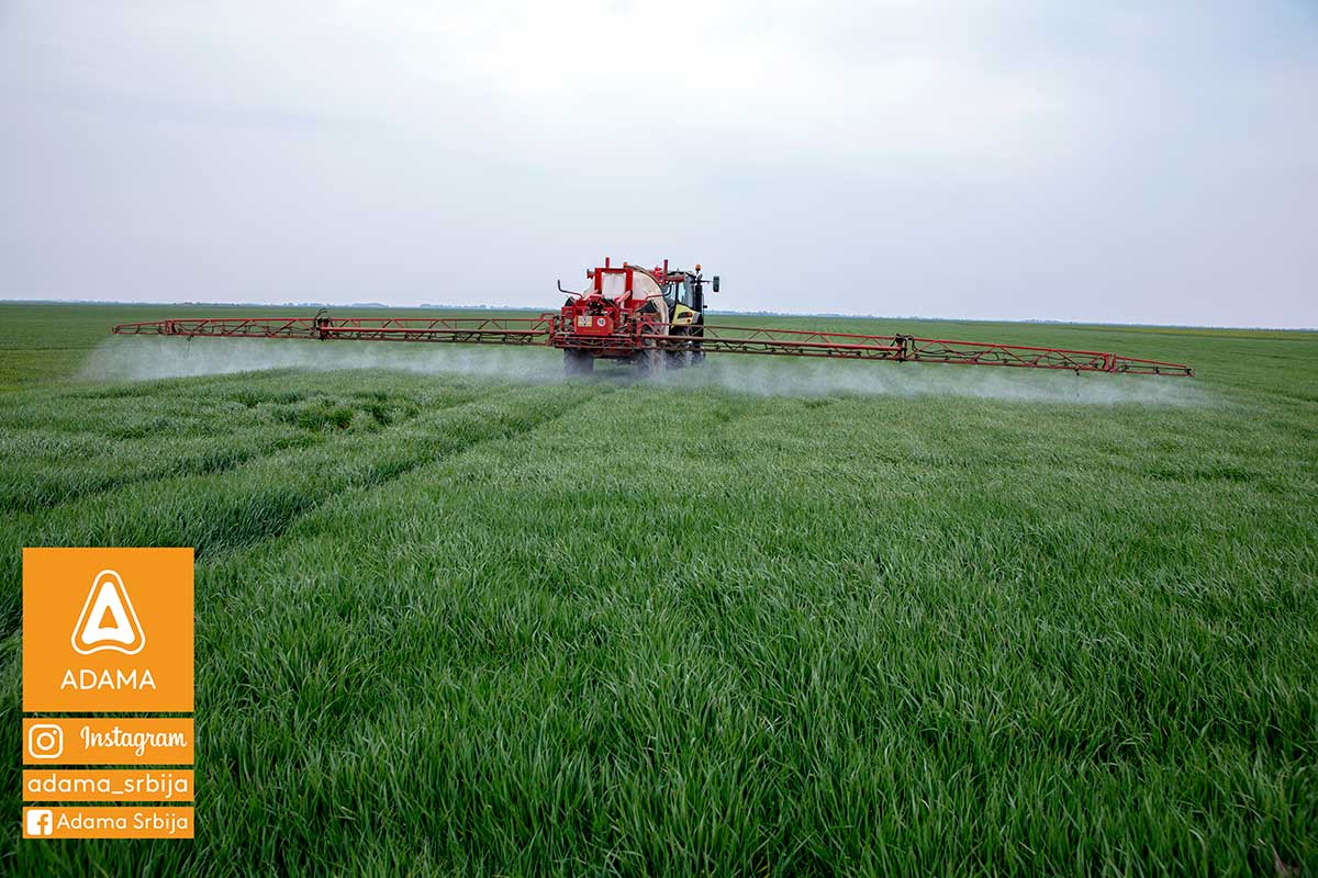 Agrosaveti---Adama---psenica---jecam---Trimaxx---Regulator-rasta---prskanje
