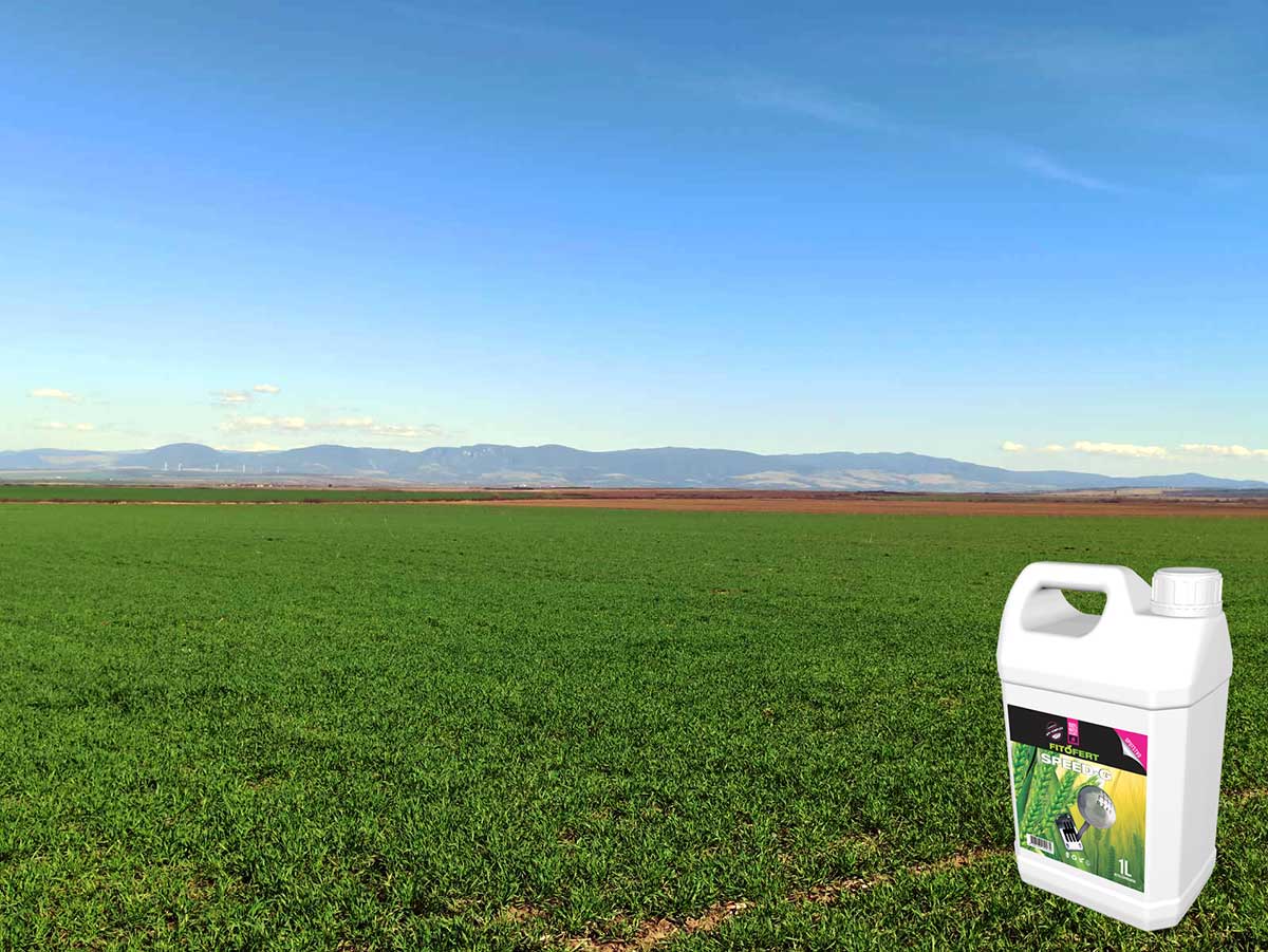 Agrosaveti---Agromarket---Fitofert---Speed-G---psenica---prolecna-prihrana-psenice-01