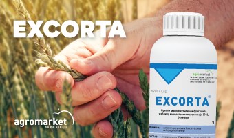 Agrosaveti---Agromarket---psenica---jecam---02