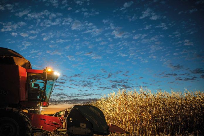 Agrosaveti---prinosi - KWS201707_MinasGerais__corn_harvest_7958 Agrosaveti---prinosi - KWS201707_MinasGerais__corn_harvest_7958
