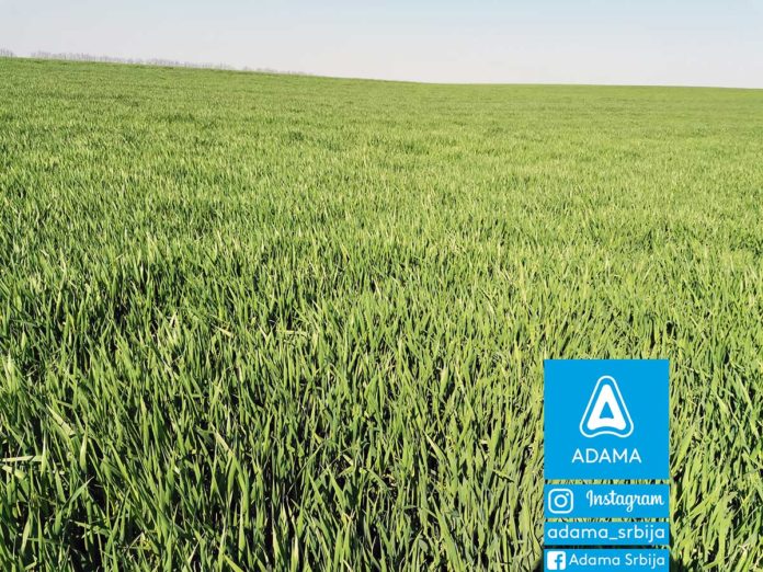 Agrosaveti---Adama---jecam---Custodia---bolest-lista-i-klasa---fungicid