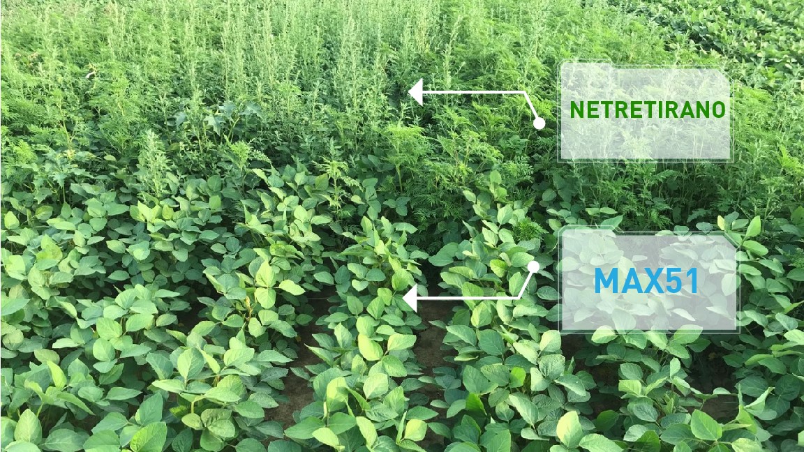 Agrosaveti - Agromarket - Max 51 - 02