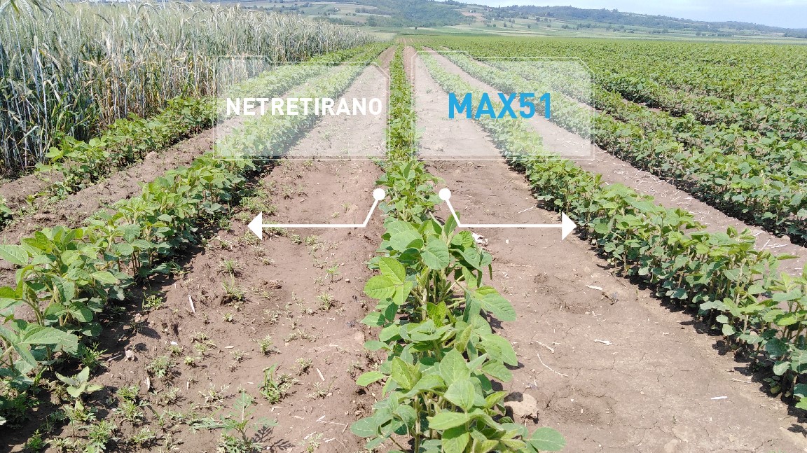 Agrosaveti - Agromarket - Max 51 - 03