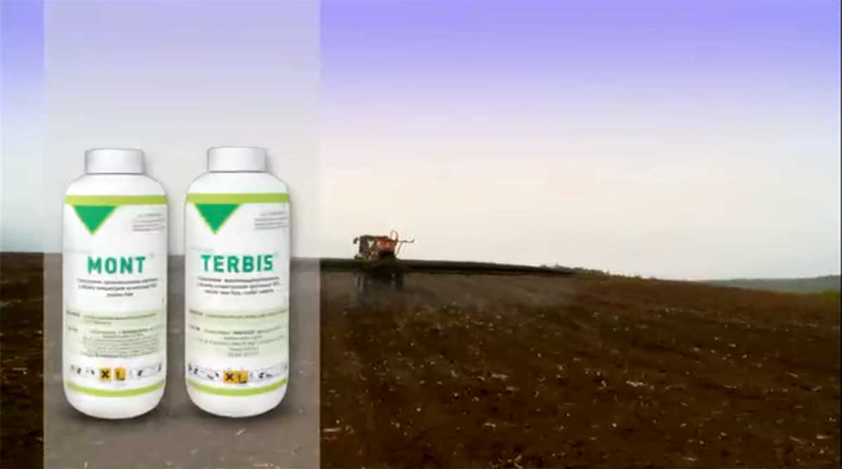 Agrosaveti---Agromarket---Siran---Agrodimark---01