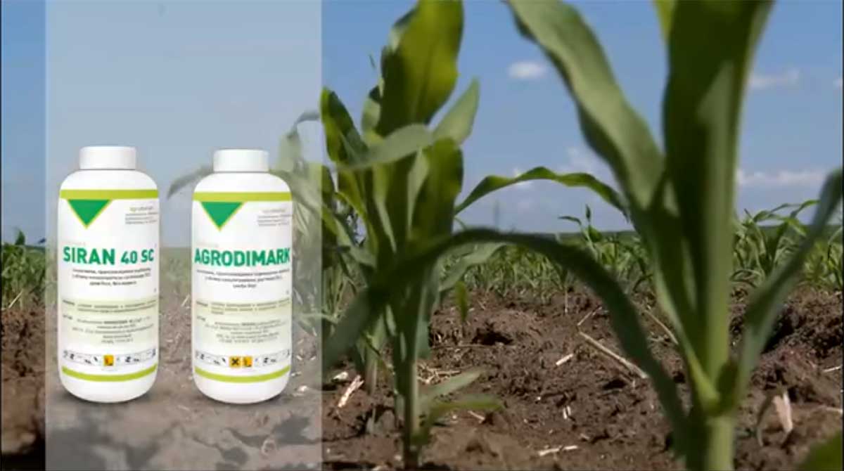 Agrosaveti---Agromarket---Siran---Agrodimark---03