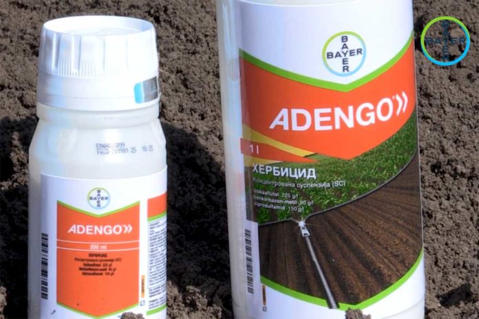 Agrosaveti---Bayer---Adengo---zastita-kukuruza-od-korova---01 Agrosaveti---Bayer---Adengo---zastita-kukuruza-od-korova---01