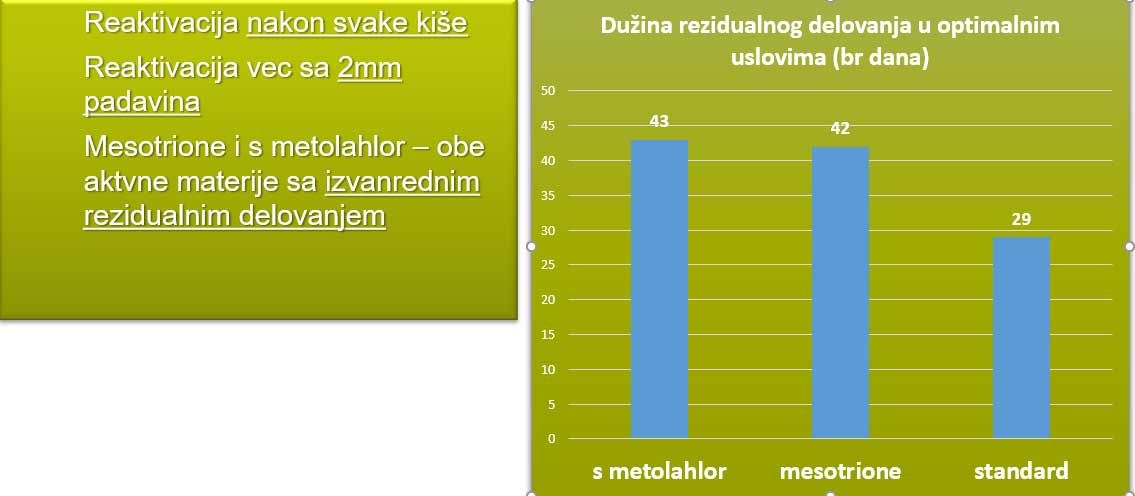 Agrosaveti---Camix-herbicid-delovanje-posle-kise-Syngenta---02