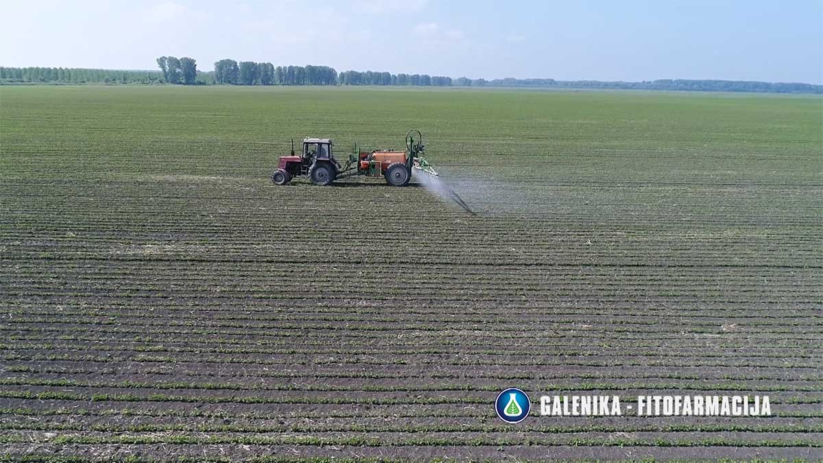 Agrosaveti---Galenika-fitofarmacija---soja---korovi-01