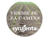 CAMIX® – vrhunsko rešenje za rano suzbijanje korova u kukuruzu! Agrosaveti---Syngenta---Camix---06