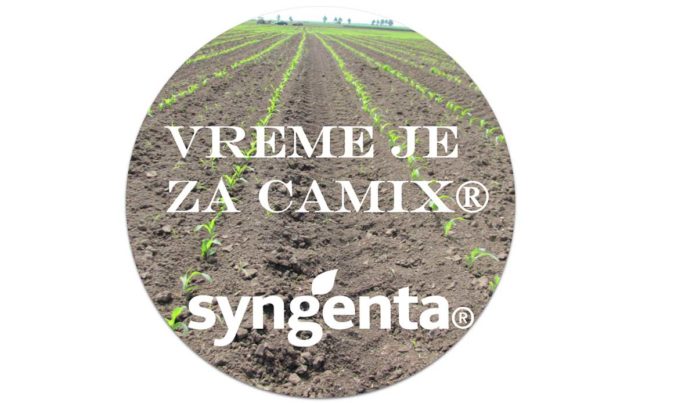 Agrosaveti---Syngenta---Camix---06 Agrosaveti---Syngenta---Camix---06