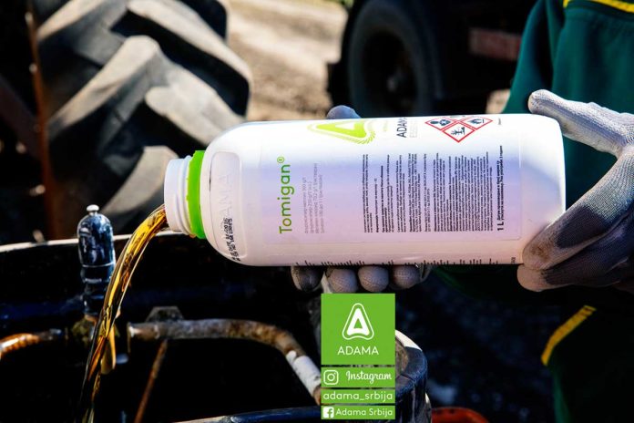 Agrosaveti---Adama---kukuruz---korovi---Tomigan---poponac---viljusac---sirokolisni-korovi-01 Agrosaveti---Adama---kukuruz---korovi---Tomigan---poponac---viljusac---sirokolisni-korovi-01