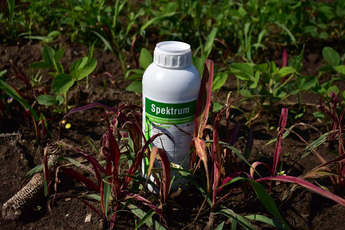 Agrosaveti---galenika-fitofarmacija---spektrum---dejstvo---03