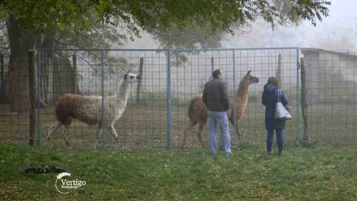 Agrosaveti---Poljoprivredna-skola-Backa-Topola-Ekonomija-05