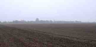Agrosaveti---setva---psenica---Juzni-Banat---01