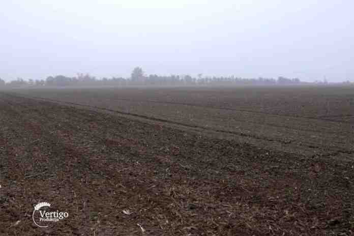Agrosaveti---setva---psenica---Juzni-Banat---01 Agrosaveti---setva---psenica---Juzni-Banat---01