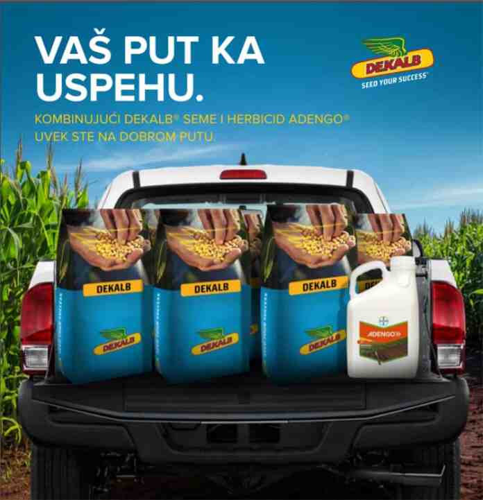 Agrosaveti---Bayer---Dekalb---katalog---01