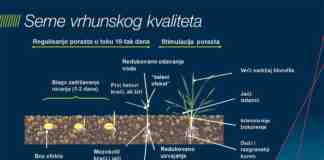 Agrosaveti---Bayer---zastita-semena---psenica-i-jecam---03