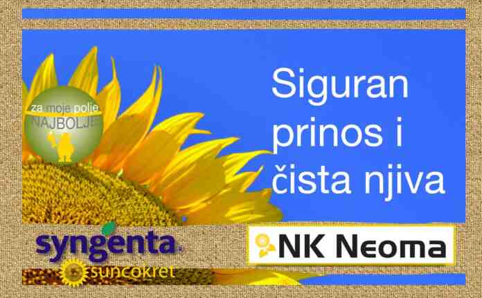 Agrosaveti---Syngenta---NK-Neoma---02 Agrosaveti---Syngenta---NK-Neoma---02
