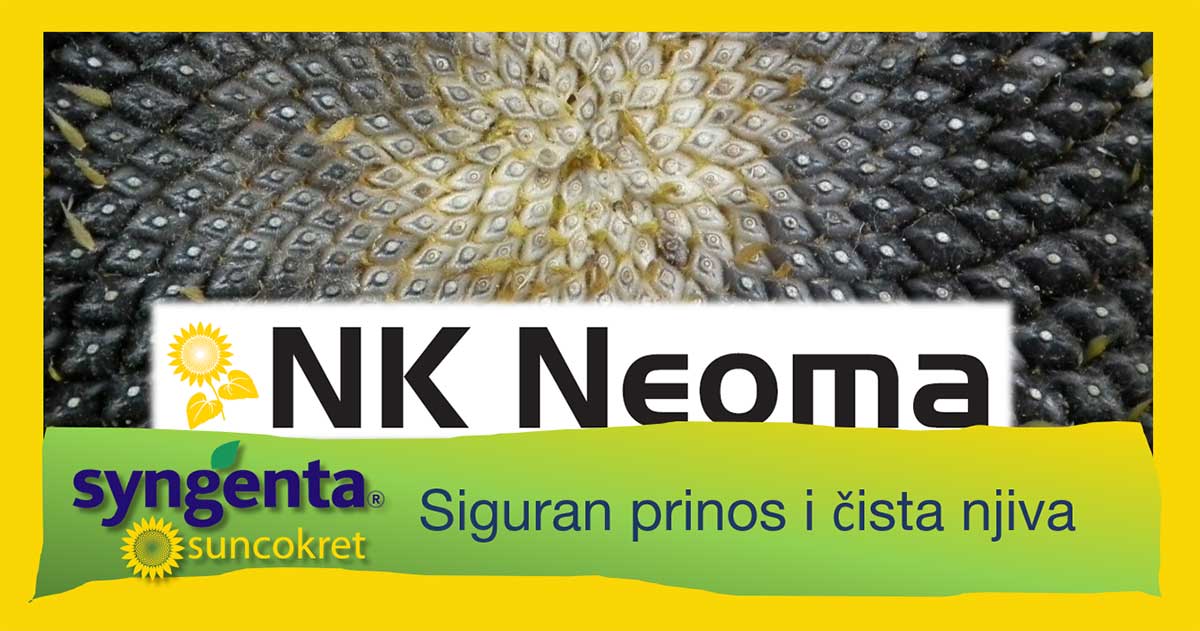 Agrosaveti---Syngenta---NK-Neoma---03