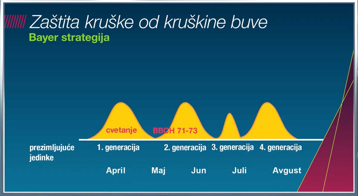 Agrosaveti Bayer Movento kruskina buva 03