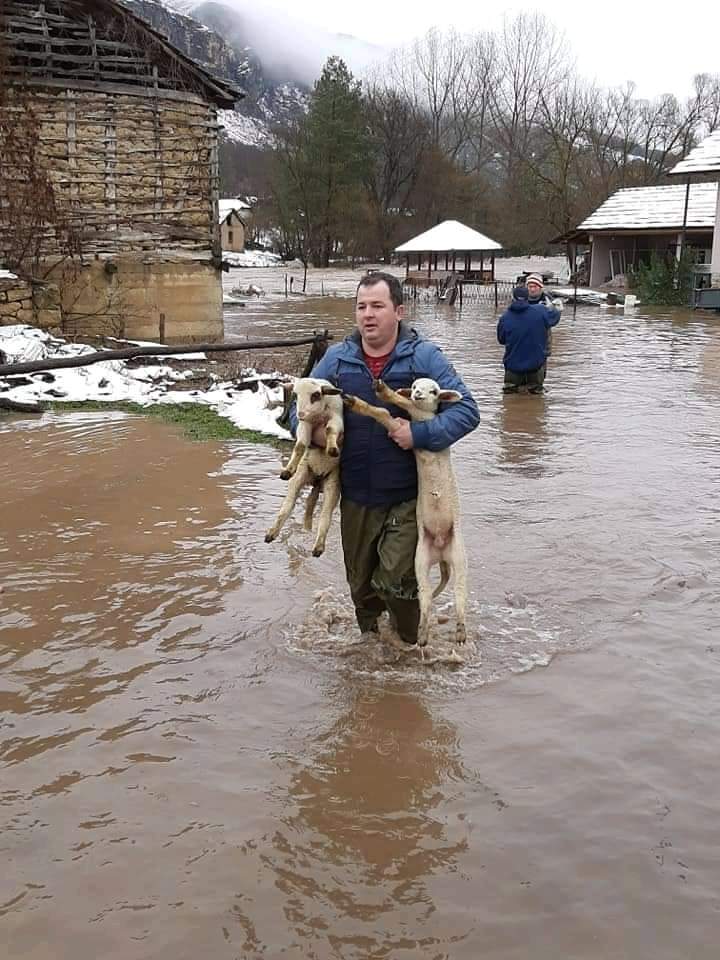 Agrosaveti poplave 04