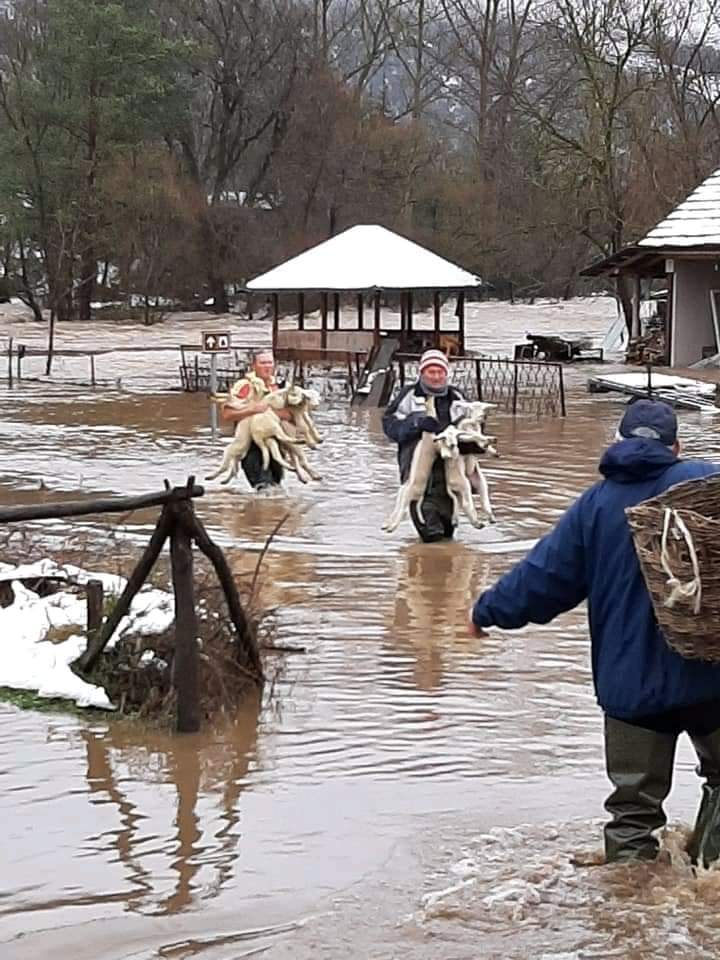Agrosaveti poplave 06