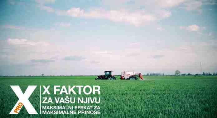 Agrosaveti Bayer zastita lista zastavicara psenica ASCRA Xpro 03