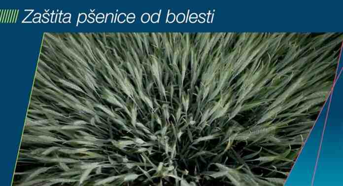 Agrosaveti Bayer zastita psenice Delaro 01 Agrosaveti Bayer zastita psenice Delaro 01