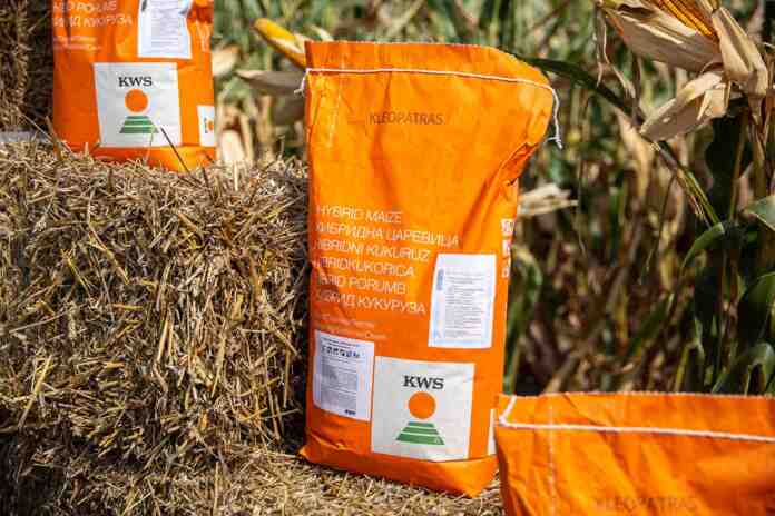 Agrosaveti KWS Kleopatras 01 Agrosaveti KWS Kleopatras 01