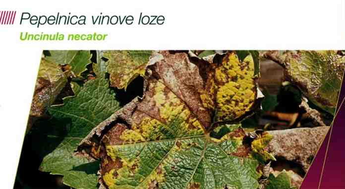 Agrosaveti Bayer suzbijanje pepelnice vnove loze Luna Max 01 Agrosaveti Bayer suzbijanje pepelnice vnove loze Luna Max 01