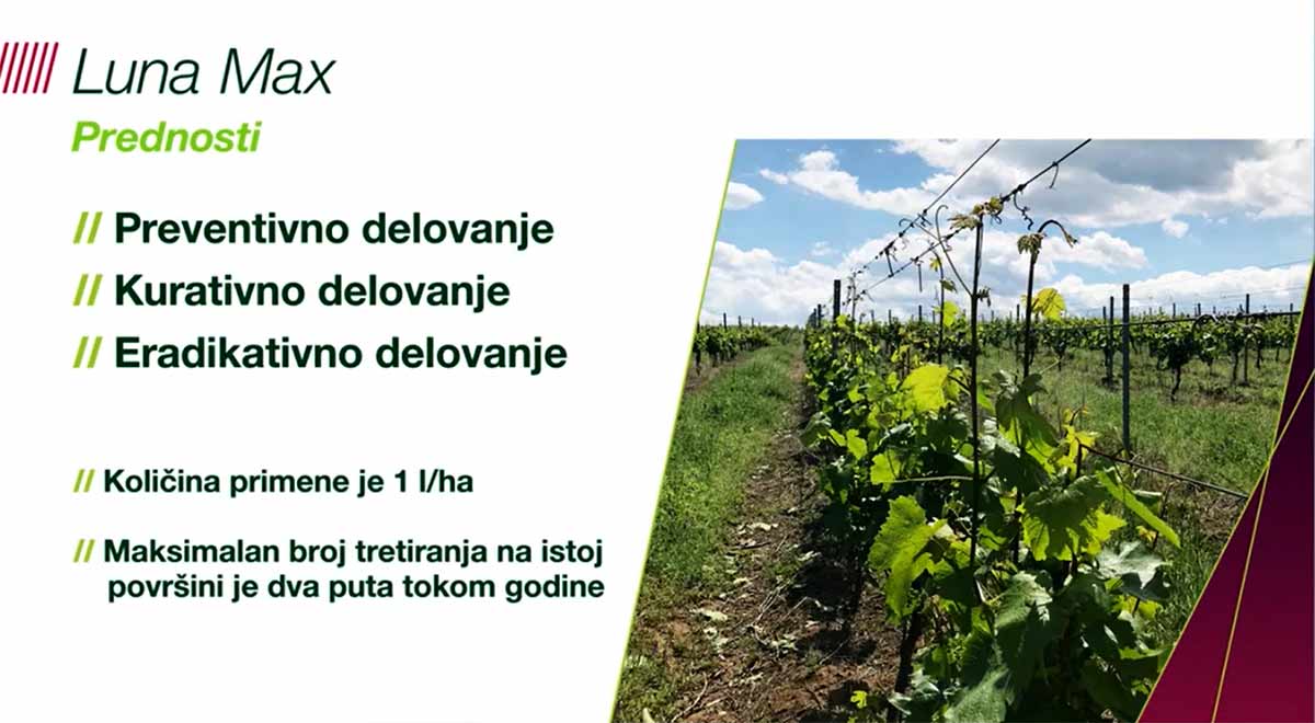 Agrosaveti Bayer suzbijanje pepelnice vnove loze Luna Max 02