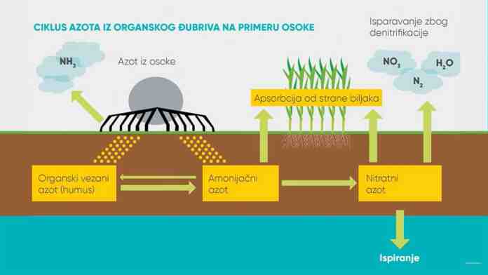 Agrosaveti Corteva Pioneer N Lock azot 02 Agrosaveti Corteva Pioneer N Lock azot 02