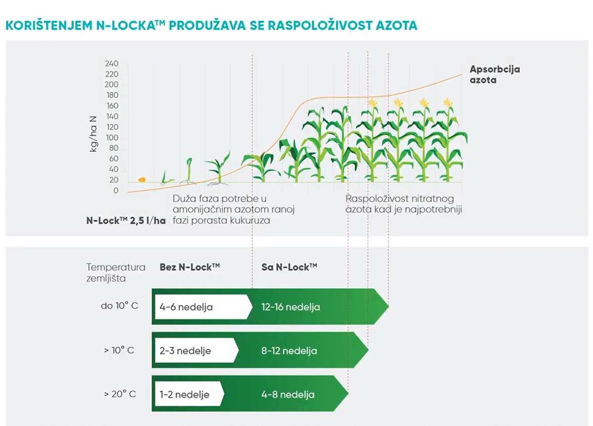 Agrosaveti Corteva Pioneer N Lock azot 03
