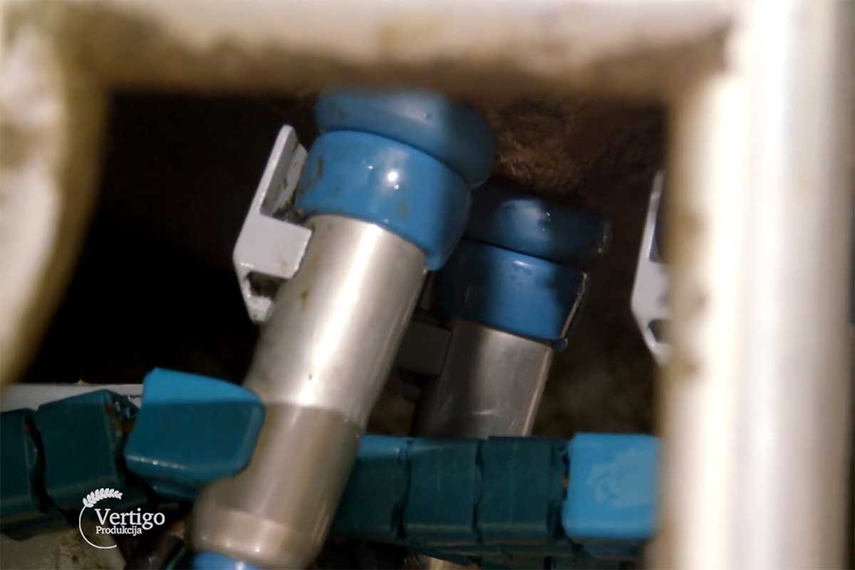 Agrosaveti robotizovana muza 02
