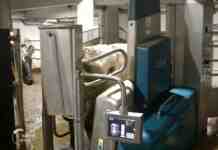 Agrosaveti robotizovana muza 04