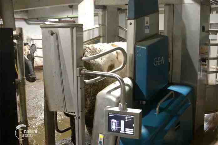 Agrosaveti robotizovana muza 04 Agrosaveti robotizovana muza 04