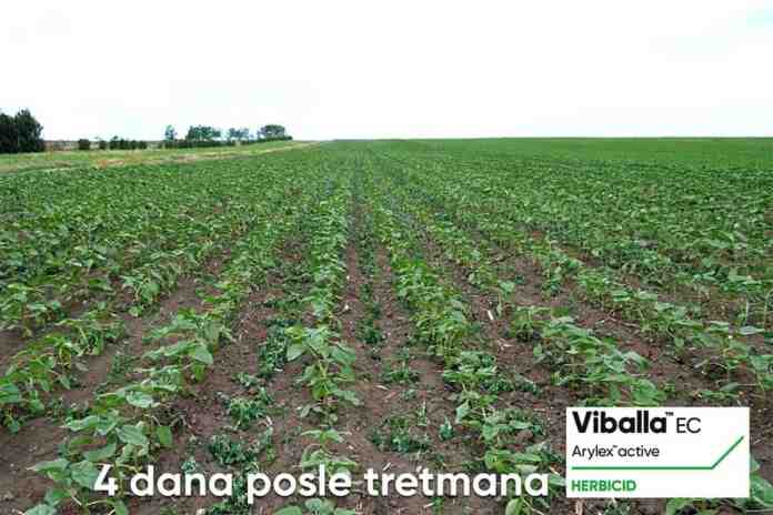 Agrosaveti Corteva Viballa suncokret herbicid 01