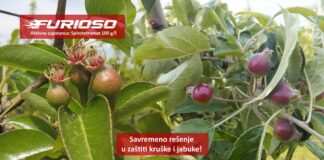 Agrosaveti galenika fitofarmacija furioso kruskina buva 01