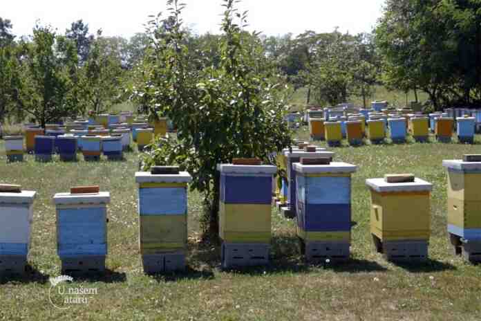 Agrosaveti pcelarstvo Tonda 01