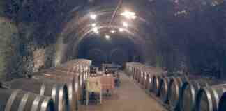 Agrosaveti vinarija Zivanovic 01