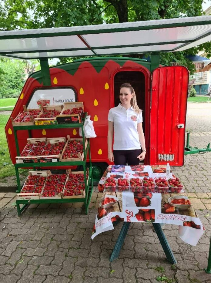 Agrosaveti jagoda kucica 01