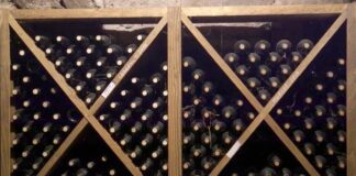 Agrosaveti vinarija Rnjak 02