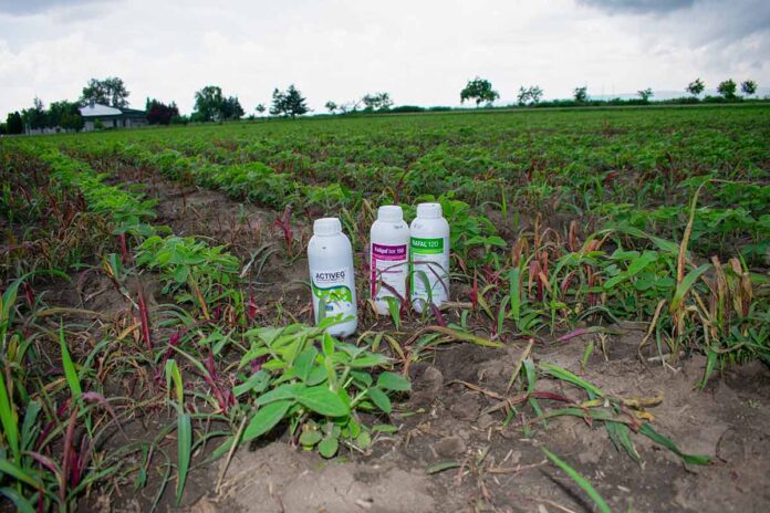 Agrosaveti Galenika fitofarmacija suzbijanje uskolisnih korova 02