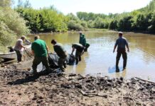 Agrosaveti Vojvodinasume Dunav Koviljski rit 02