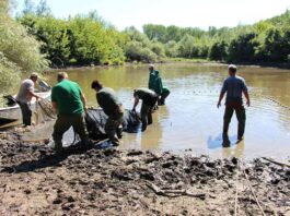 Agrosaveti Vojvodinasume Dunav Koviljski rit 02