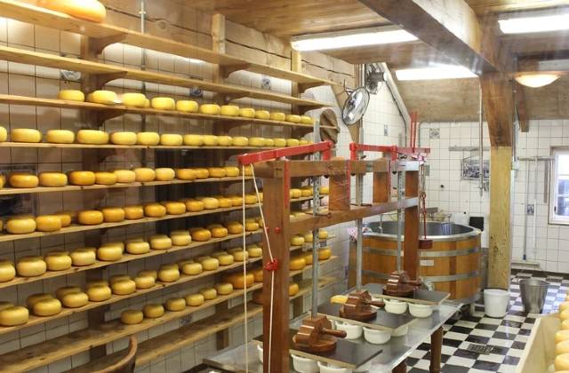 mlekara proizvodnja sira mlekara proizvodnja sira