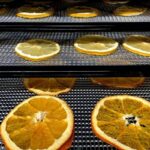 Sušeno voće po ruskom receptu – posao u ekspanziji dehidrator suseno voce limun