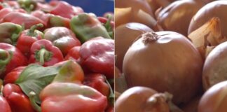 paprika luk